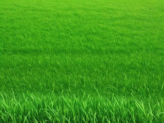 Obraz premium The texture of green grass covers the entire screen without unnecessary elements.