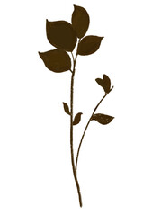 Isolated brown branch with leaves on transparent background. PNG botanical element for printing and postcard design.