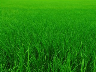 Obraz premium The texture of green grass covers the entire screen without unnecessary elements.