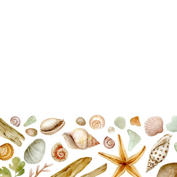 A border of shells and other marine finds painted in watercolor. For your projects