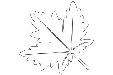 Continuous one line art drawing maple leaf botanical decorative symbol outline vector art illustration 
