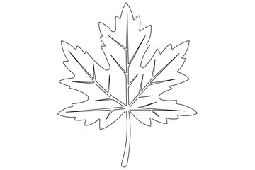 Continuous one line art drawing maple leaf botanical decorative symbol outline vector art illustration 
