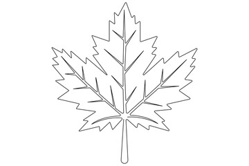 Continuous one line art drawing maple leaf botanical decorative symbol outline vector art illustration 
