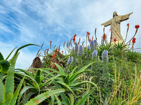 Scenic view of majestic statue of Christ the King statue (Cristo Rei) in Garajau, Madeira island, Portugal, Europe. Beautiful blooming exotic flowers in foreground. Serene tranquil atmosphere. Beauty