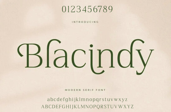 sans font. classic typography fonts regular uppercase, lowercase. Vector