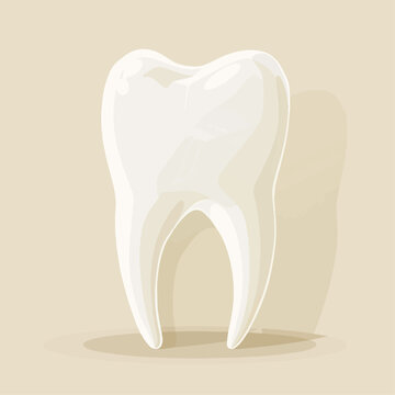 recommend clip art: The healthy tooth simple illustration.