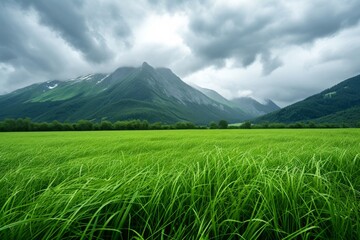 Fototapeta premium Scenic green meadow with mountains in the distance