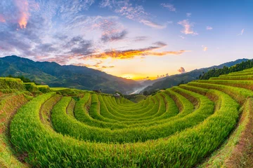 Runde Wanddeko Mu Cang Chai Rice fields on terraced of Mu Cang Chai, YenBai, Vietnam.