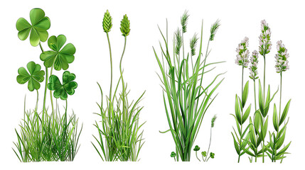Set of green herbs with flowers isolated on white or transparent background generative ai 