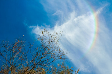 A Beautiful sky with rainbow on nature in air background