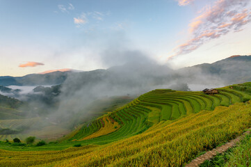 Rice fields on terraced of Mu Cang Chai, YenBai, Vietnam.