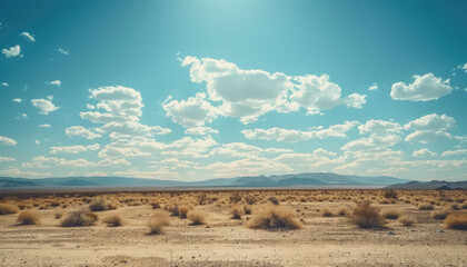 Fototapeta na wymiar Nevada Mojave Desert, southern nevada, road in the desert, american desert, desert landscape, emty desert