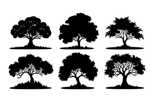 Vector silhouette of tree on white background. set collection