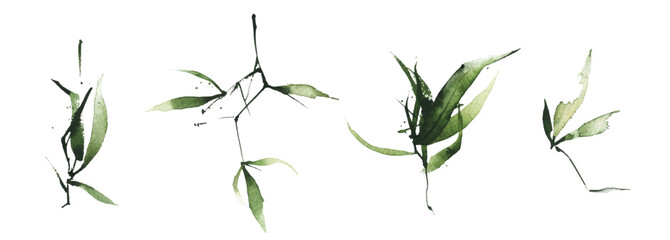 Watercolor exotic greenery set. Green bamboo branches, leaves and twigs.