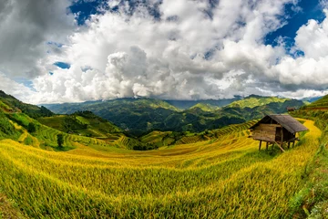 Rideaux tamisants Mu Cang Chai Rice fields on terraced of Mu Cang Chai, YenBai, Vietnam.