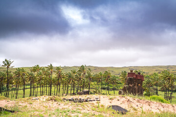 Fototapeta na wymiar moais on Anakena beach, Rapa Nui, on Easter Island