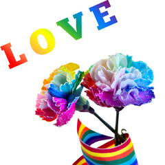 A vibrant, multi-colored carnations with rainbow ribbon and the word love isolated on white...