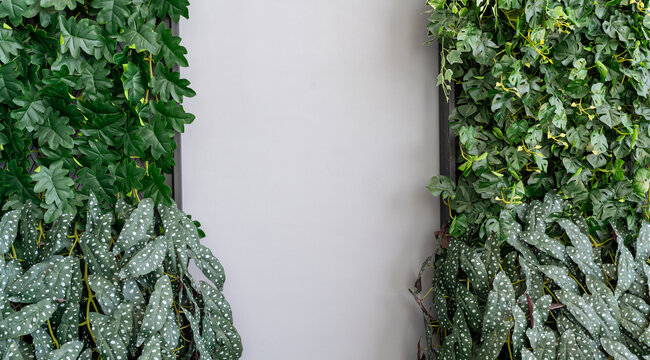 A living wall of diverse green plants, creating a vibrant vertical garden against a blank wall for contrast.