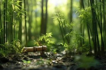 Foto op Plexiglas A tilt shift lens brings a magical, miniaturized perspective to this lush bamboo forest © gankevstock