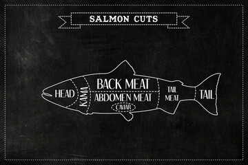 Butchers diagram guide for cutting Salmon.
