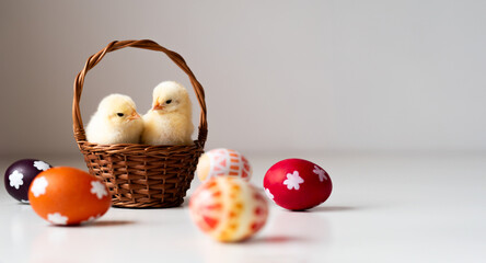 Wielkanoc, dwa kurczaczki w koszyku wiklinowym w otoczeniu pisanek, urocze pisklęta - obrazy, fototapety, plakaty