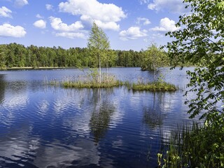 Fototapeta premium Beautiful landscape on the Vsevolozhsk Lakes, in the Leningrad region in North-West Russia