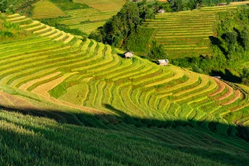 Cercles muraux Mu Cang Chai Rice fields on terraced of Mu Cang Chai, YenBai, Vietnam.