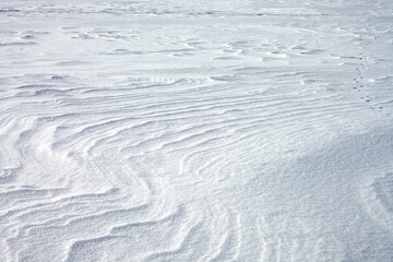Wavy pattern of compacted snow on the surface of a frozen and snow-covered body of water. Texture....