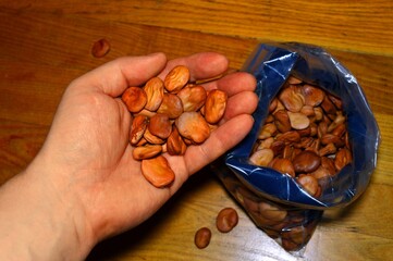 Broad beans in a bag on the table and held in hand , dried , ready for sowing