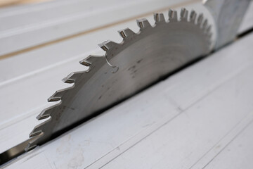 Sägeblatt einer Tischkreissäge