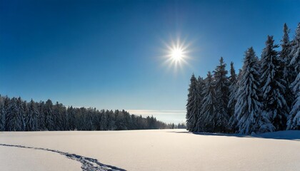 solar winter morning a gaze over the snow covered field from the coniferous forest on white snow the long shadow falls as a background serves the clear blue sky