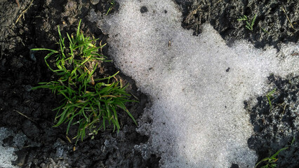 Ground appears from under the snow in the early spring - 746765931