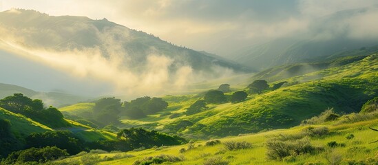 A view of a lush green hillside covered in fog and clouds along the Pacific Coast Highway near Big Sur, California. The misty atmosphere adds a mystical vibe to this springtime scenery.