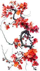 Red Flowers Blossoming on Branch