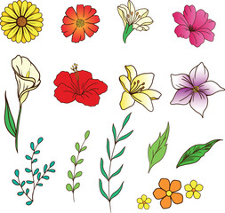 Vector set of hand-drawn flowers with natural branches and leaves