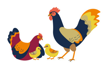 Chicken family. Chicks, rooster, hen. Cute lovely family of domestic fowl or poultry birds.