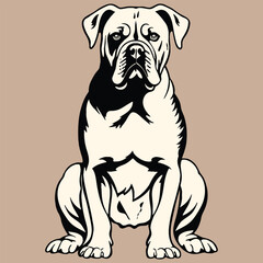 Bulldog vector illustration, Bulldog vector art, Bulldog clip art vector, Bulldog illustration, Bulldog royalty