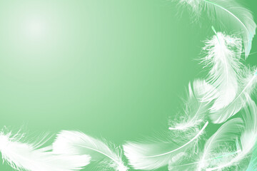 Fluffy bird feathers in air on green background, space for text