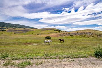 Obraz premium Torres del Paine National Park, in Chilean Patagonia
