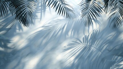 Beautiful minimalistic pastel background with palm leaf shadows on the sides