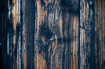 old wood texture, oxidized wood fibers, wood fibers and wood. wooden planks