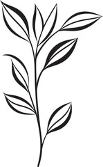 Eco Sketches Hand Drawn Leaf Icon Botanical Sketches Black Vector Leaf Logo Design