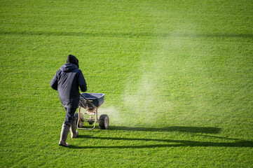 Groundsman spreads fertilizer for grass on a football pitch