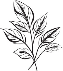 Organic Artistry Hand Drawn Leaf Emblem Botanical Brushstrokes Black Vector Leaf Logo