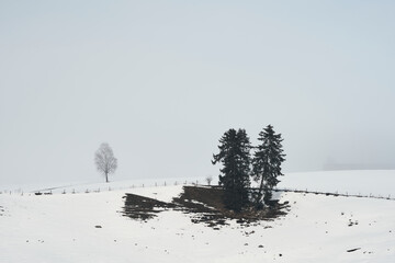 Cultural landscape by Balke of rural Toten, Norway, in February.