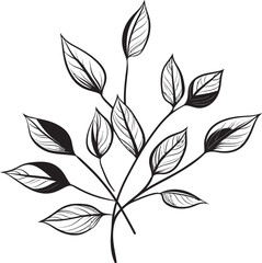 Botanical Beauty Black Vector Leaf Emblem Icon Handcrafted Nature Plant Leaves Badge Emblem