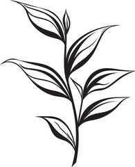 Inked Leaves Vector Leaf Icon Design Botanical Beauty Black Vector Leaf Emblem Icon