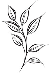 Leafy Doodles Plant Leaves Emblem Icon Natural Strokes Vector Leaf Badge Design