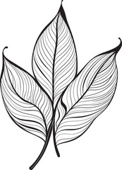 Leafy Impressions Plant Leaves Emblem Organic Sketchbook Vector Badge Design