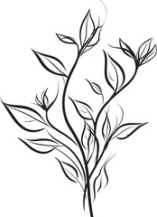 Leafy Lines Plant Leaves Icon Badge Sketchy Greens Vector Logo Emblem